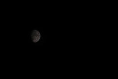 DSC00534_3