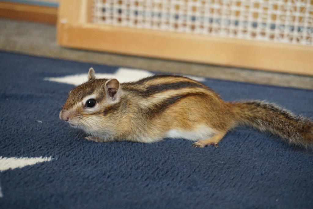 DSC01479_1