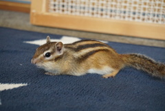 DSC01479_1