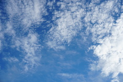 DSC04485