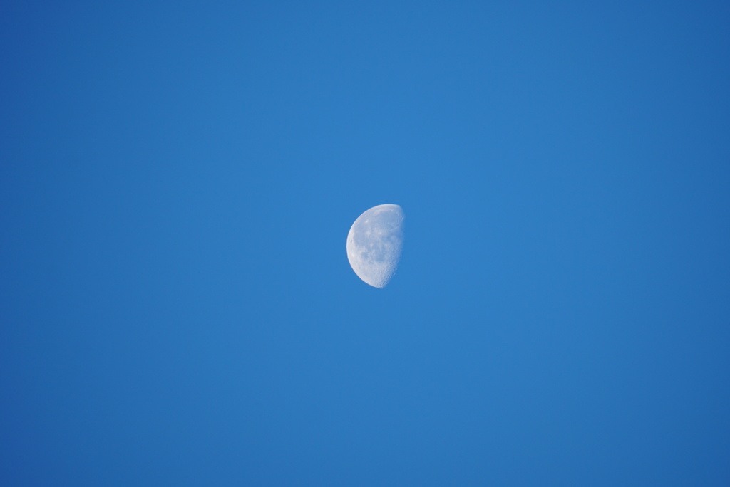 DSC03250_1