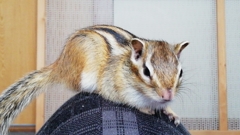IMG_20230402_130343