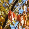 DSC08664