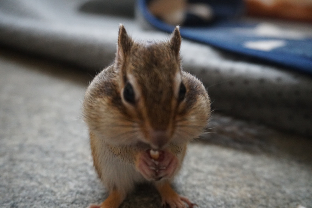 DSC00005