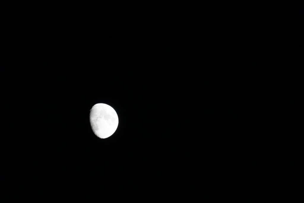 DSC00675