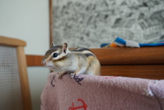 DSC01358