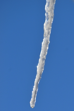 DSC_0810_1