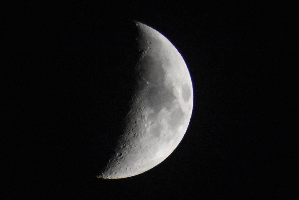 DSC_1114_1