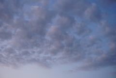 DSC09017