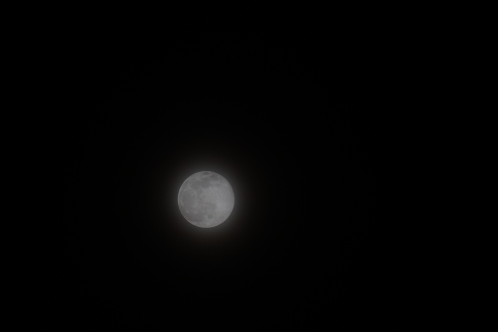 DSC04865_1