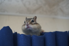 DSC03551