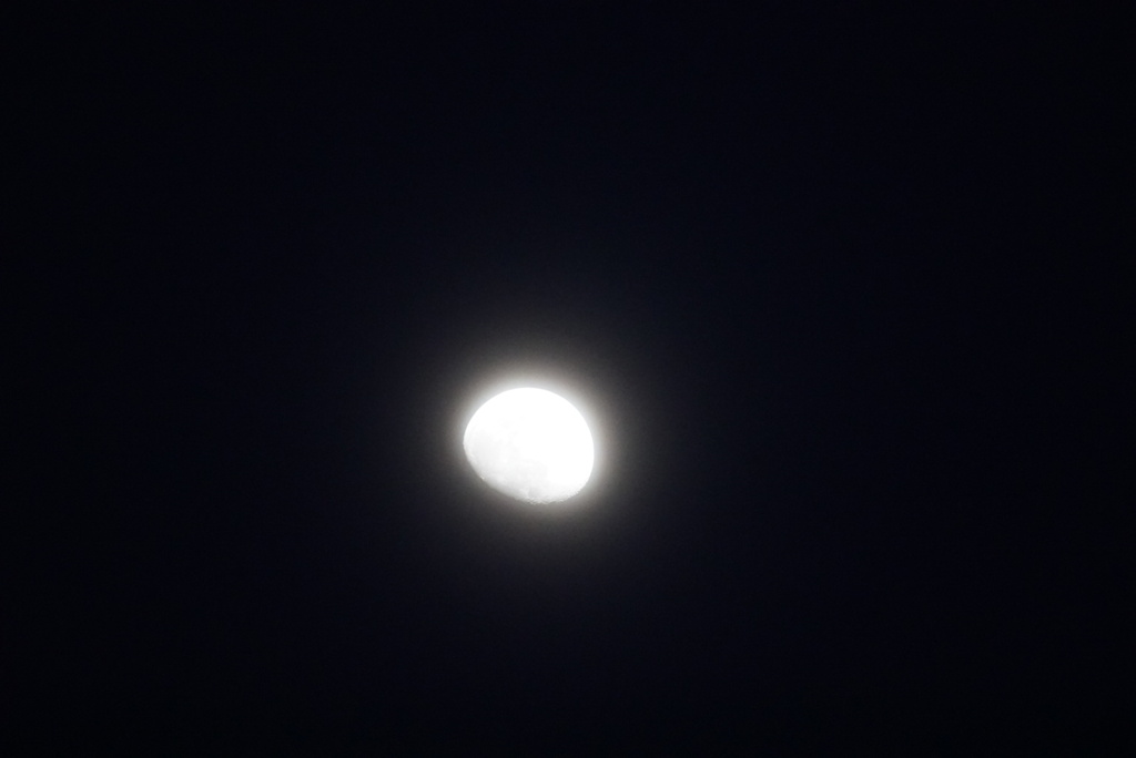 DSC08254_1