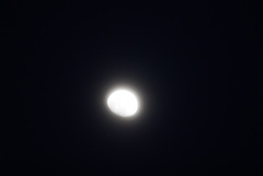 DSC08254_1