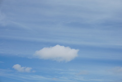 DSC07115_1