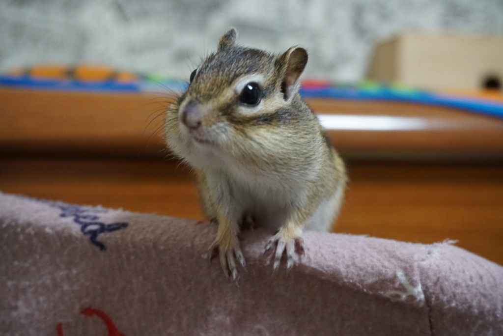 DSC01134