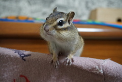 DSC01134