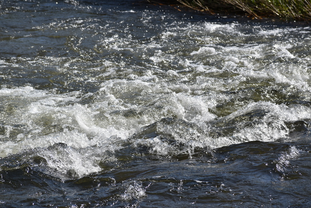 DSC_1881