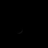 DSC07731_1~2