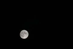 DSC03160_1