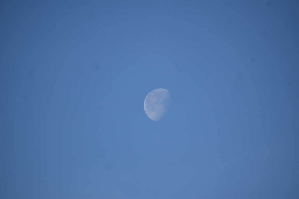 青空に浮かぶ月