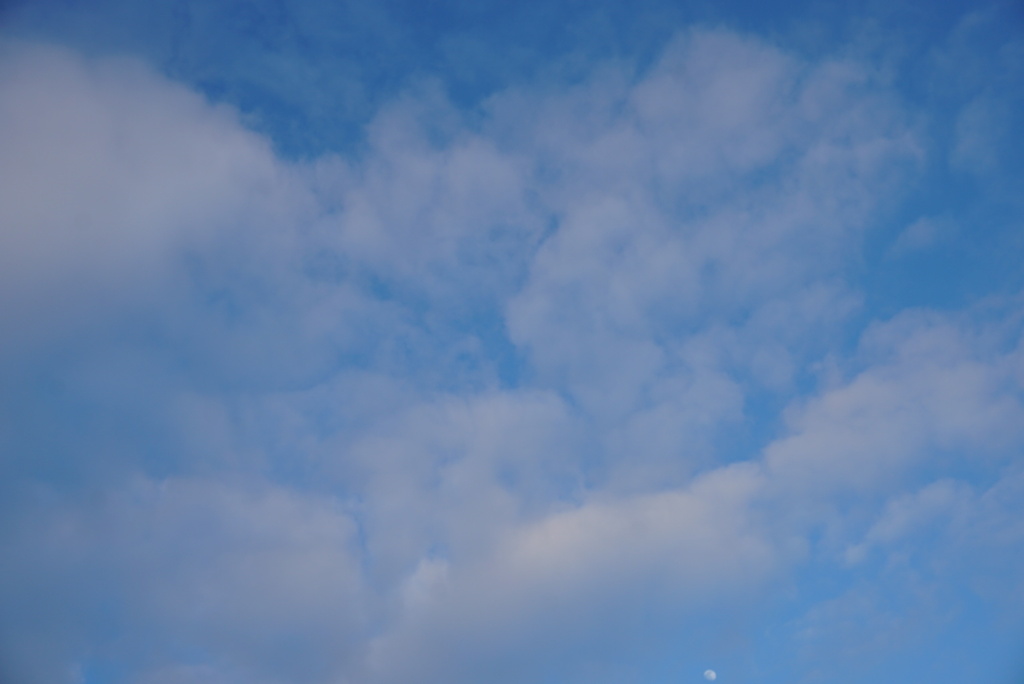 DSC04507_1