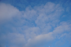 DSC04507_1