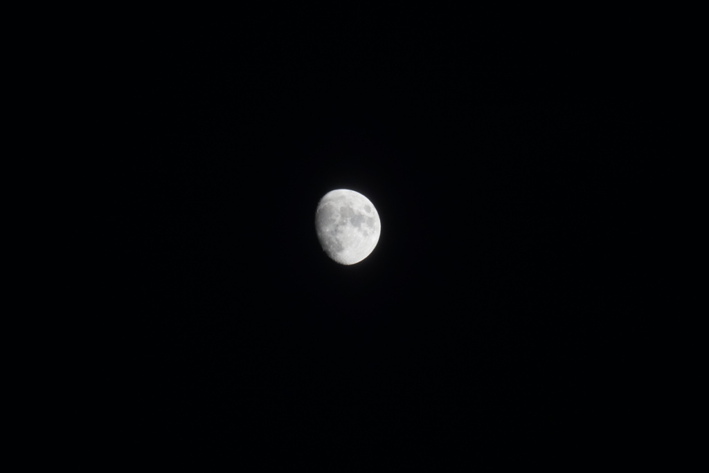 DSC00683_1