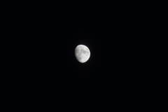 DSC00683_1