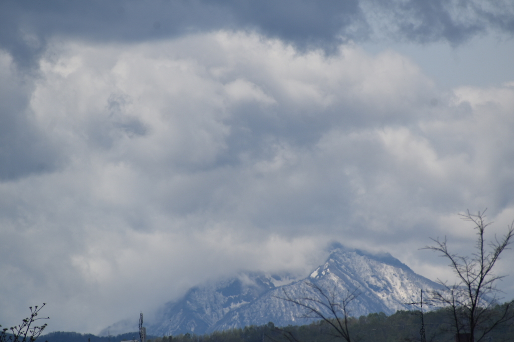山