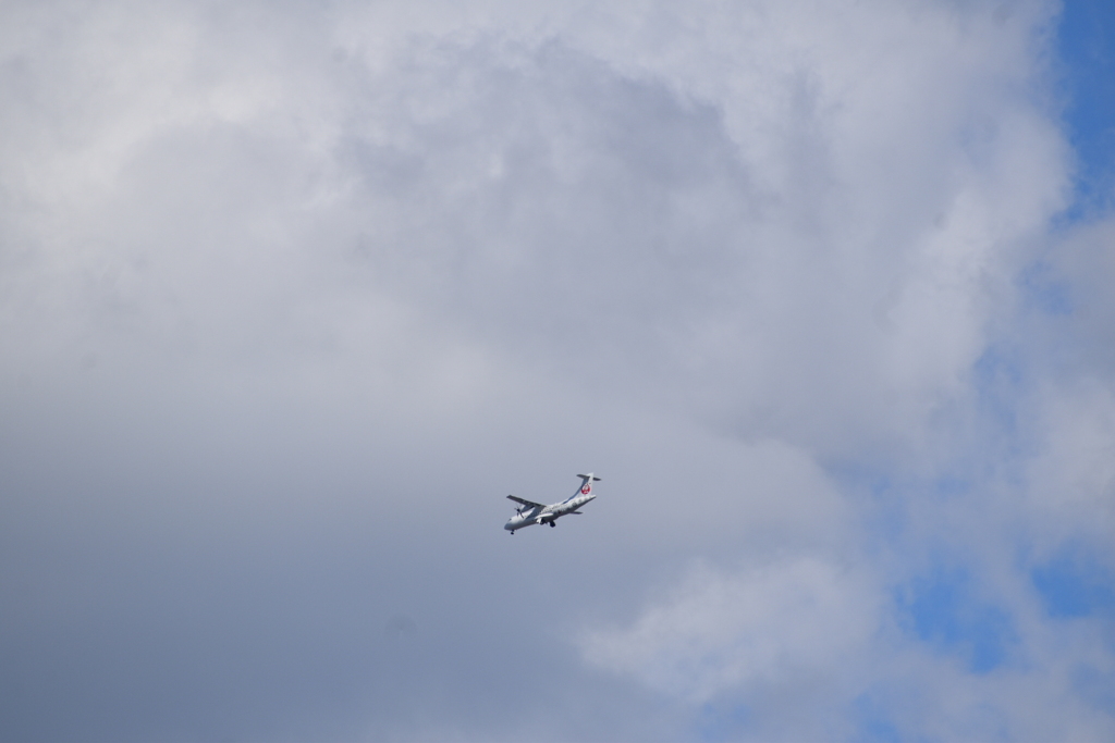 飛行機