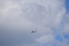 飛行機