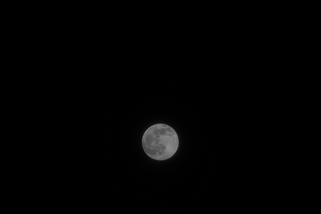 DSC04681