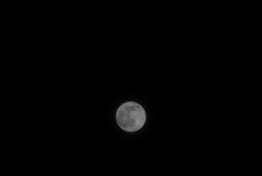 DSC04681