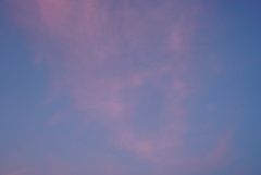 DSC09596