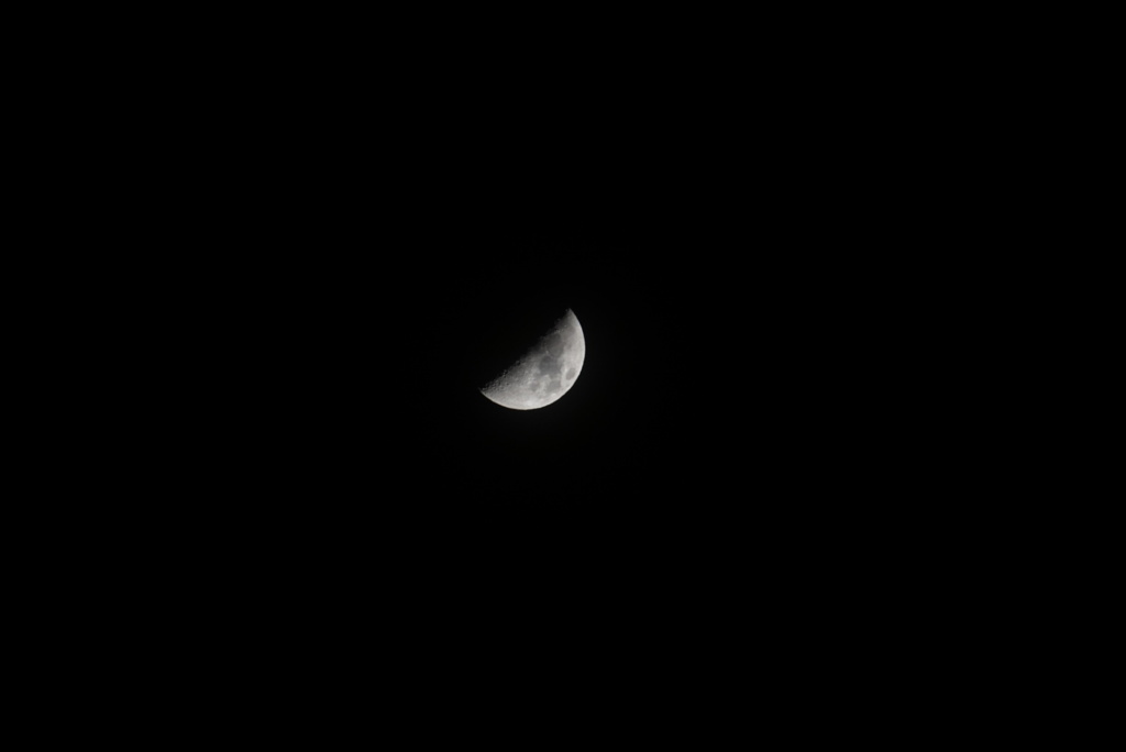 DSC05971