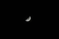 DSC05971