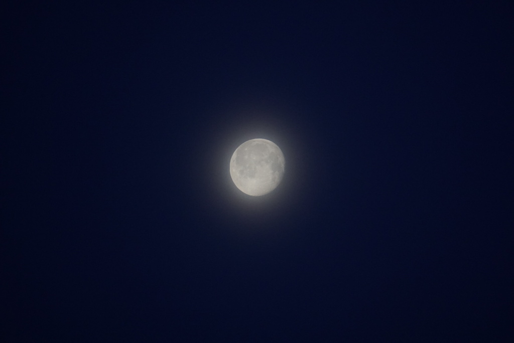 DSC03580