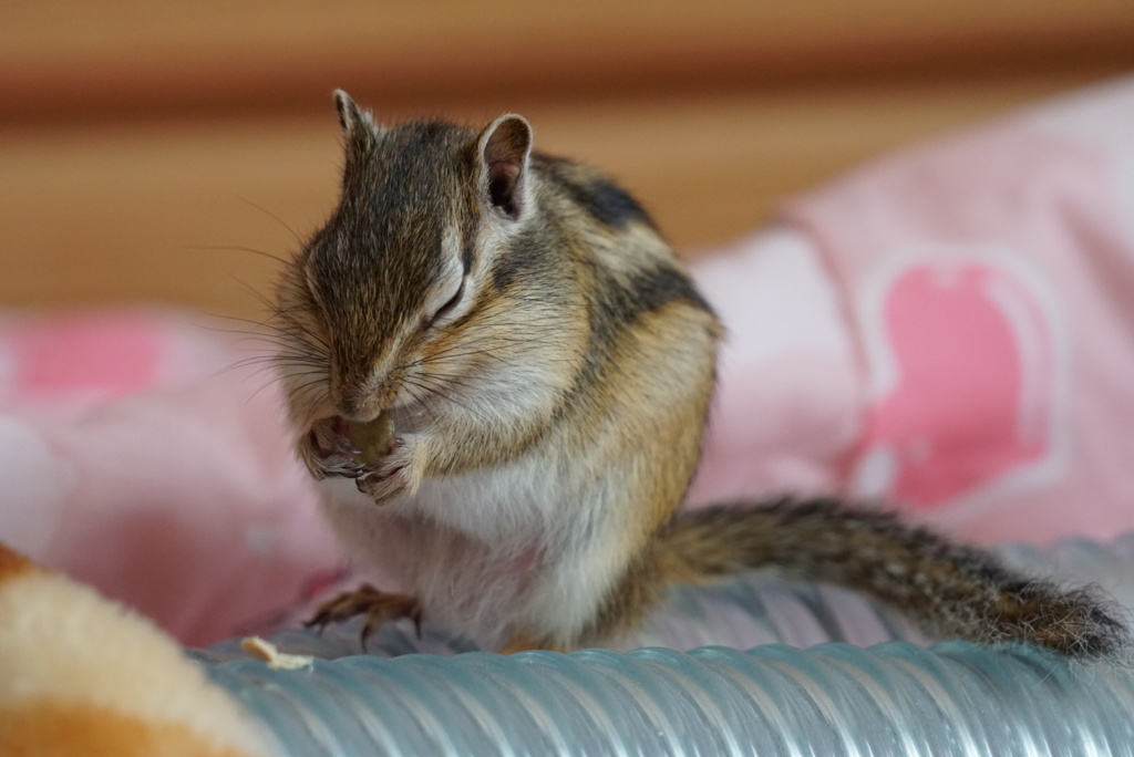DSC00020