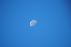 DSC06440