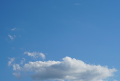 DSC03010_1