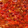 DSC04926