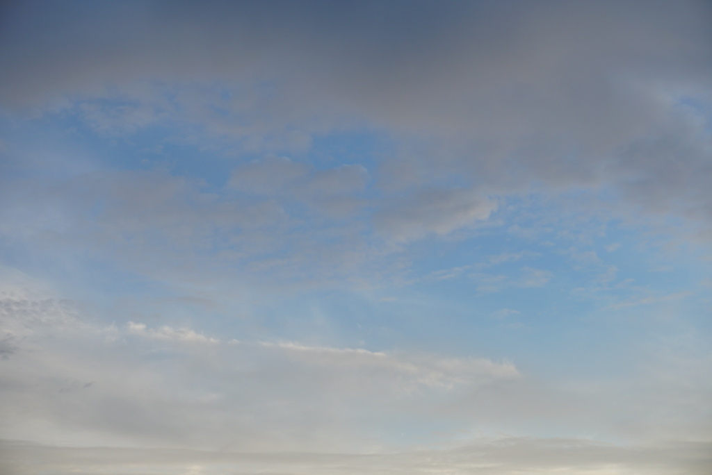 DSC00084_1