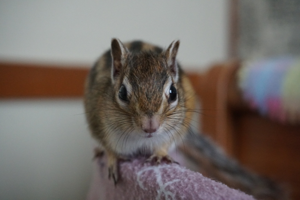 DSC03440