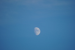 DSC00527_3