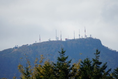 DSC06811