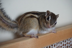 ちょっと怒ってます。