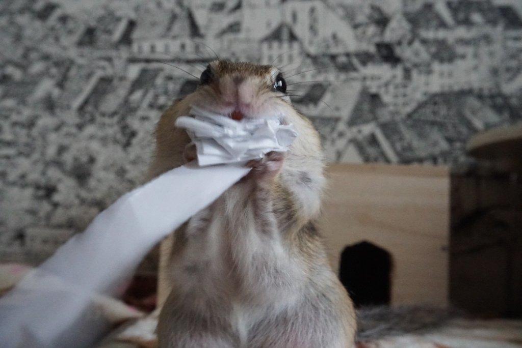 ちょっと多すぎ