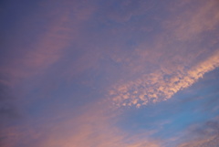 DSC07545_1