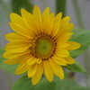 DSC01844