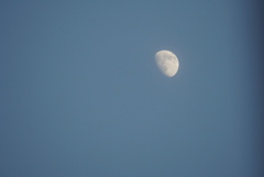 DSC08208_1
